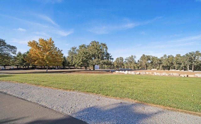 view of home's community with a lawn