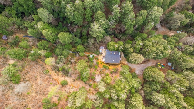 19563 Roaring Brook Way, Lakehead, CA 96051 - photo 54