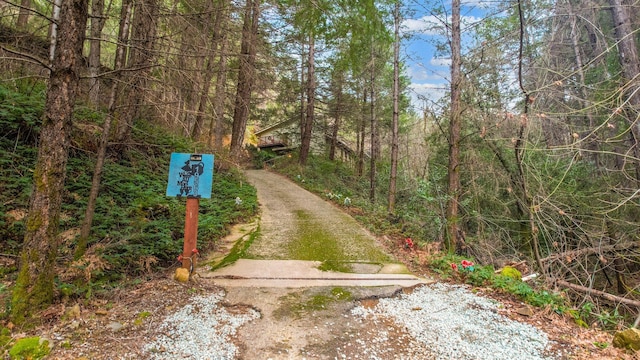 19563 Roaring Brook Way, Lakehead, CA 96051 - photo 56