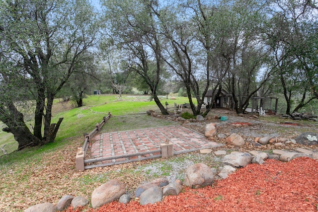 view of yard with a patio area