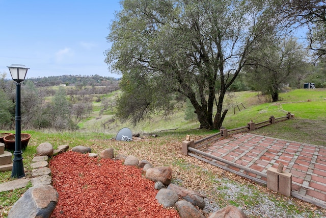 view of yard with a patio