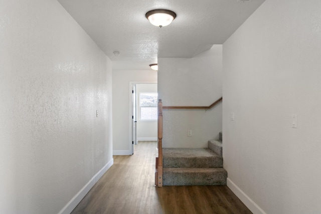 stairway with wood-type flooring and a textured ceiling