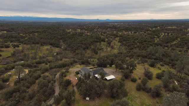 drone / aerial view featuring a mountain view