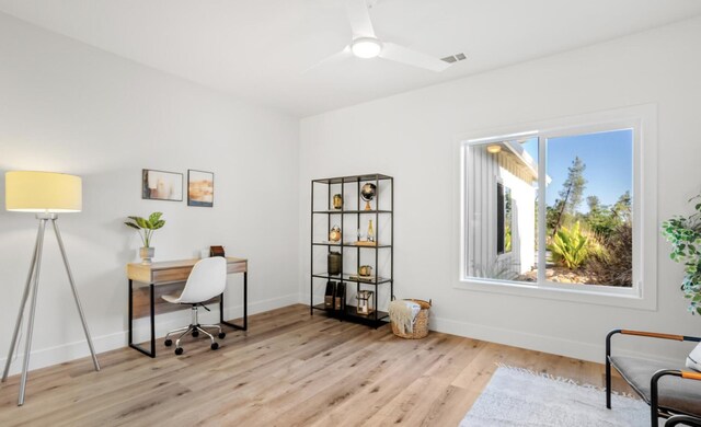 office with light wood-style floors, visible vents, ceiling fan, and baseboards