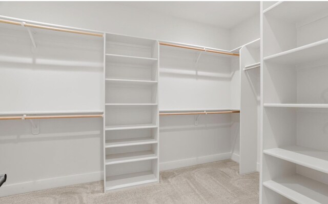 spacious closet with light carpet