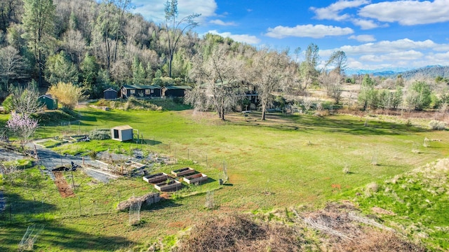 view of yard featuring a vegetable garden, an outdoor structure, a view of trees, and a storage shed