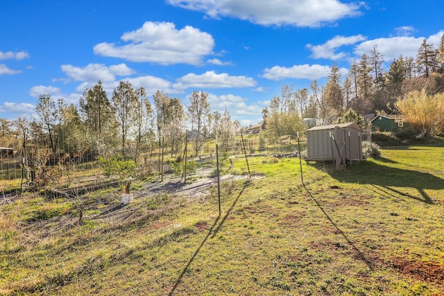 view of yard featuring an outdoor structure and a shed