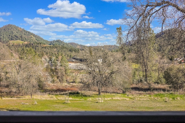 view of mountain feature with a view of trees