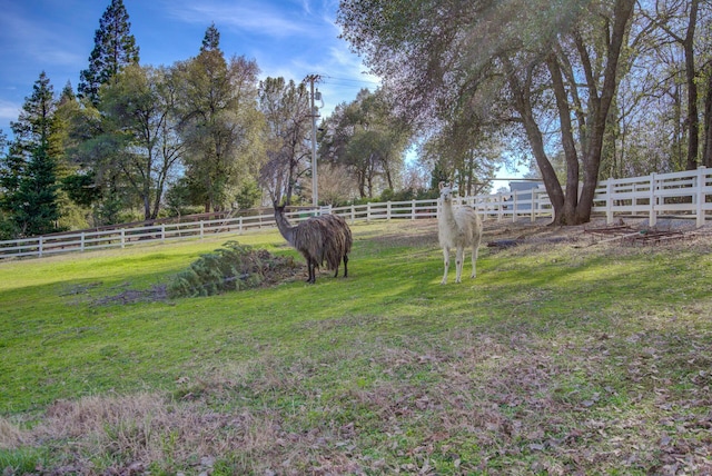 view of yard featuring a rural view and fence