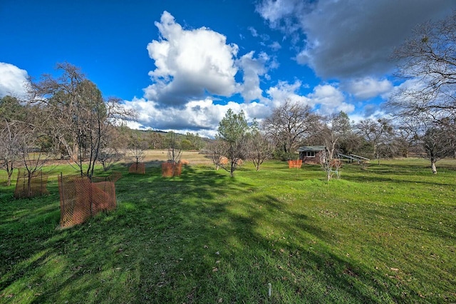 view of yard with a rural view