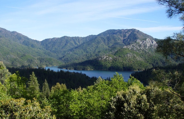 144ACRES Gilman Rd, Lakehead, CA 96051 - photo 3