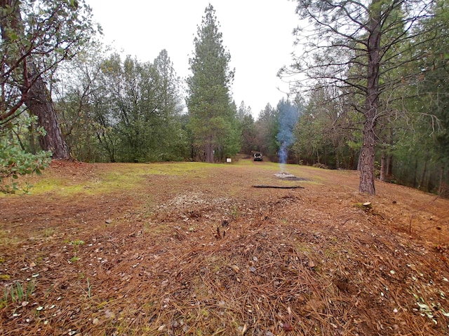 144ACRES Gilman Rd, Lakehead, CA 96051 - photo 10