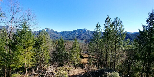 144ACRES Gilman Rd, Lakehead, CA 96051 - photo 6