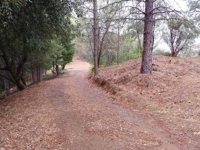 144ACRES Gilman Rd, Lakehead, CA 96051 - photo 9
