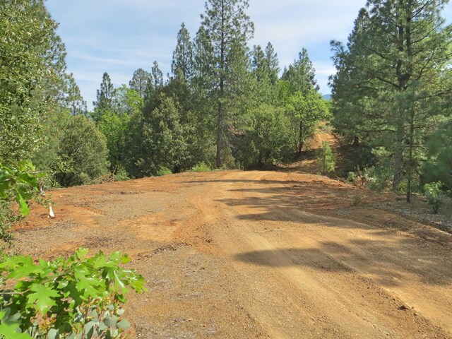 144ACRES Gilman Rd, Lakehead, CA 96051 - photo 15