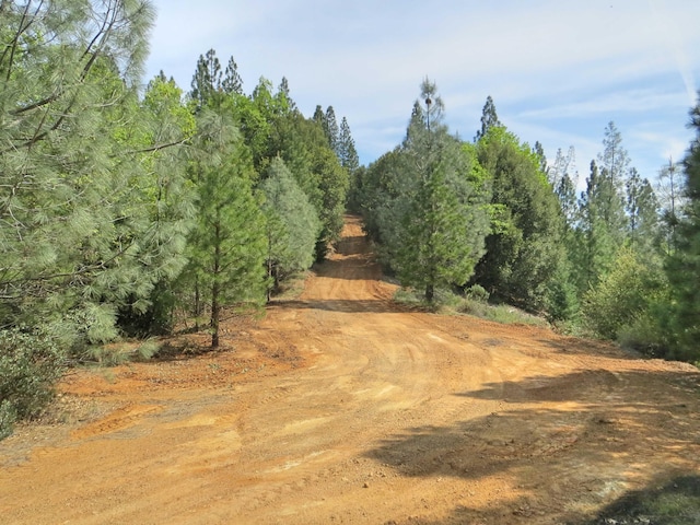 144ACRES Gilman Rd, Lakehead, CA 96051 - photo 24