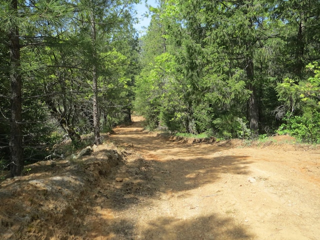 144ACRES Gilman Rd, Lakehead, CA 96051 - photo 27