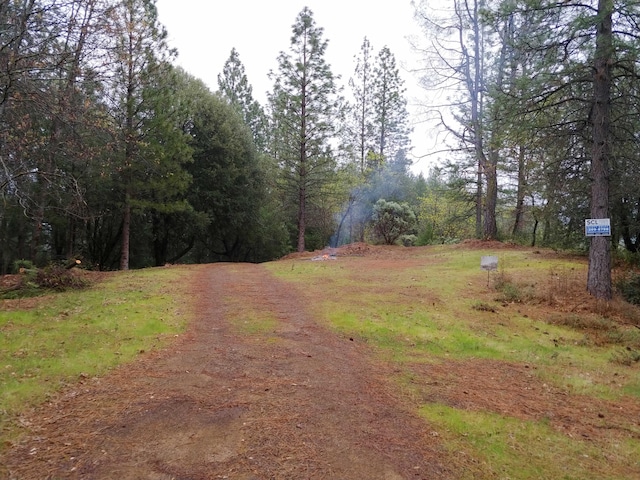 144ACRES Gilman Rd, Lakehead, CA 96051 - photo 5
