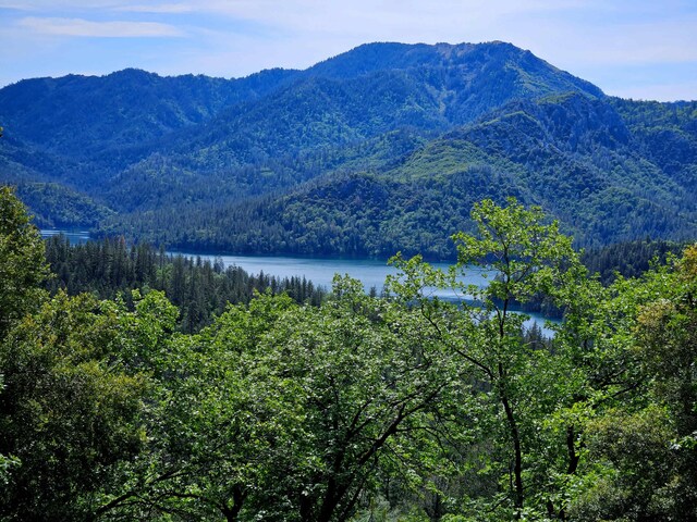 144ACRES Gilman Rd, Lakehead, CA 96051 - photo 30