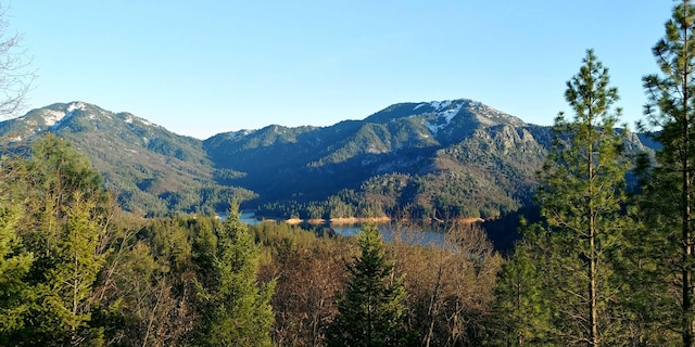 144ACRES Gilman Rd, Lakehead, CA 96051 - photo 31