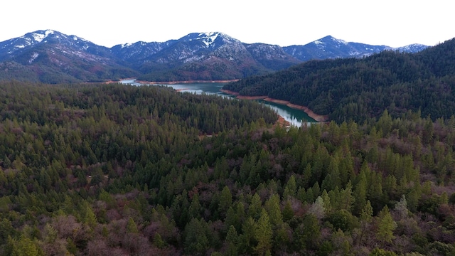 144ACRES Gilman Rd, Lakehead, CA 96051 - photo 18