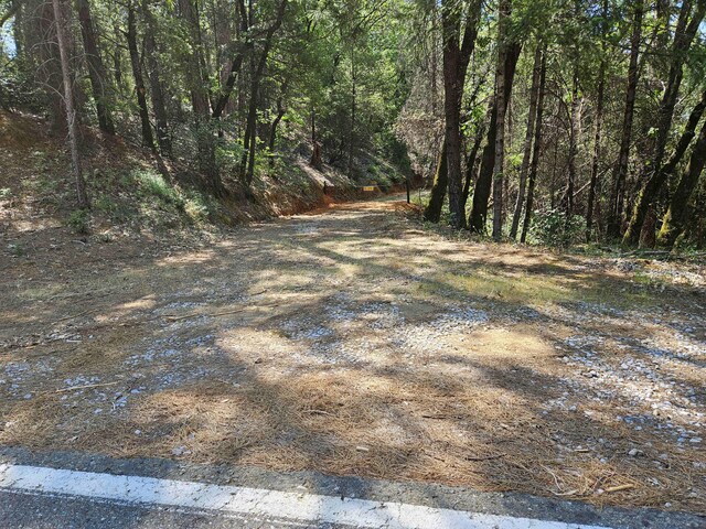 144ACRES Gilman Rd, Lakehead, CA 96051 - photo 22