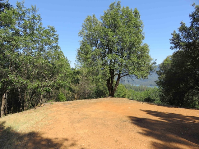144ACRES Gilman Rd, Lakehead, CA 96051 - photo 12