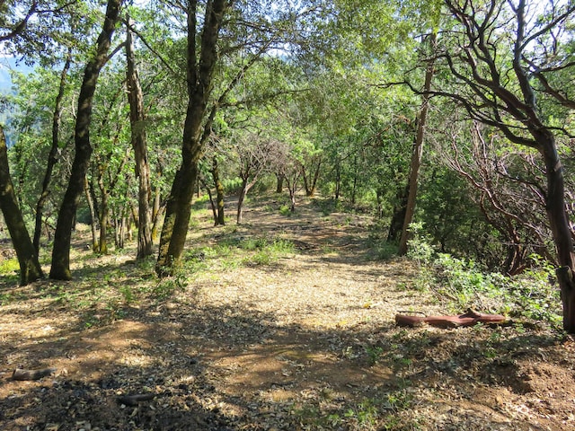 144ACRES Gilman Rd, Lakehead, CA 96051 - photo 20