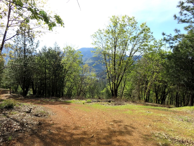 144ACRES Gilman Rd, Lakehead, CA 96051 - photo 28