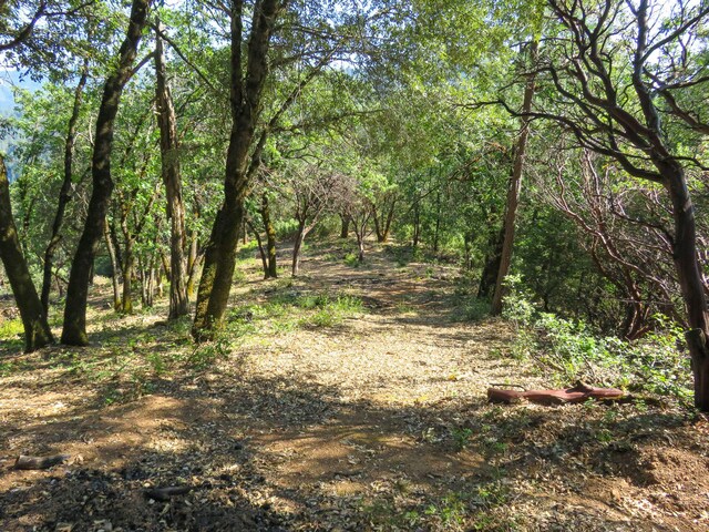 144ACRES Gilman Rd, Lakehead, CA 96051 - photo 32