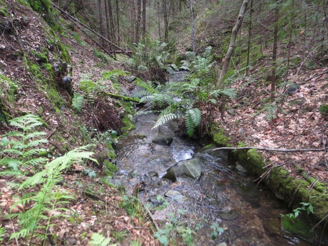 144ACRES Gilman Rd, Lakehead, CA 96051 - photo 21