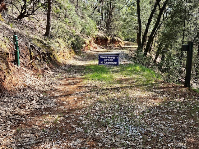 144ACRES Gilman Rd, Lakehead, CA 96051 - photo 4