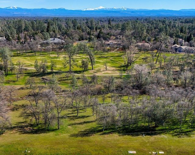 13231 Alicia Pkwy, Redding CA, 96003 land for sale