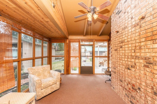 unfurnished sunroom featuring ceiling fan, beamed ceiling, wood ceiling, and a healthy amount of sunlight