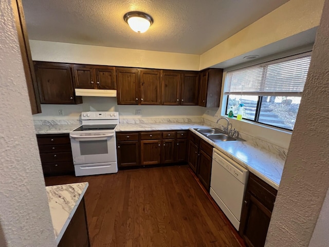 kitchen featuring white appliances, dark wood-type flooring, a textured ceiling, under cabinet range hood, and a sink