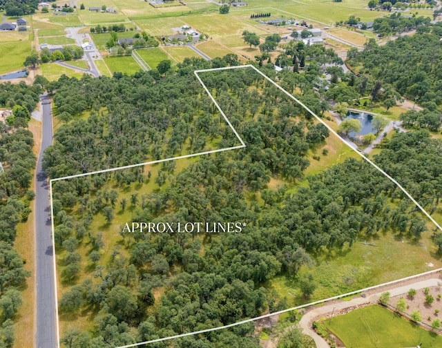 Knotting Hill Rd, Palo Cedro, CA 96073 - photo 1