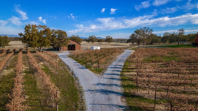 view of street with gravel driveway and a rural view