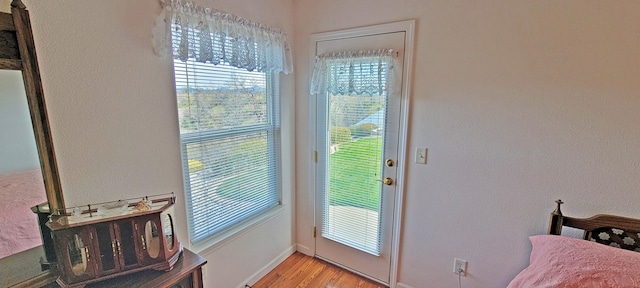 entryway featuring a healthy amount of sunlight, light wood-style flooring, and baseboards