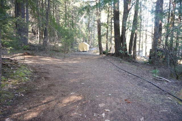 4990 Indian Creek Rd, Douglas City, CA 96024 - photo 16