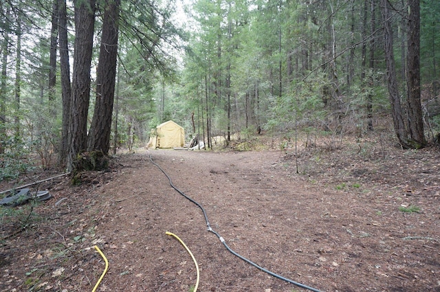 4990 Indian Creek Rd, Douglas City, CA 96024 - photo 20