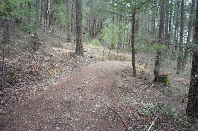 4990 Indian Creek Rd, Douglas City, CA 96024 - photo 27