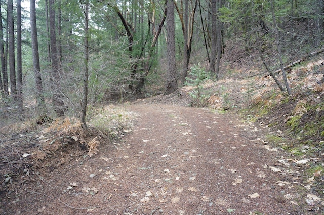 4990 Indian Creek Rd, Douglas City, CA 96024 - photo 29