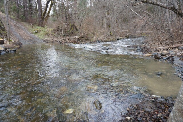 4990 Indian Creek Rd, Douglas City, CA 96024 - photo 32