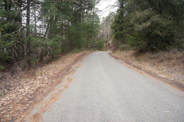 4990 Indian Creek Rd, Douglas City, CA 96024 - photo 36