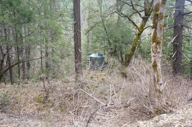 4990 Indian Creek Rd, Douglas City, CA 96024 - photo 37
