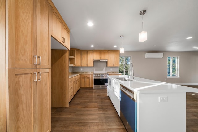 kitchen featuring dark wood finished floors, stainless steel appliances, an AC wall unit, a sink, and under cabinet range hood