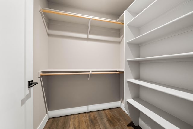 walk in closet featuring dark wood-type flooring