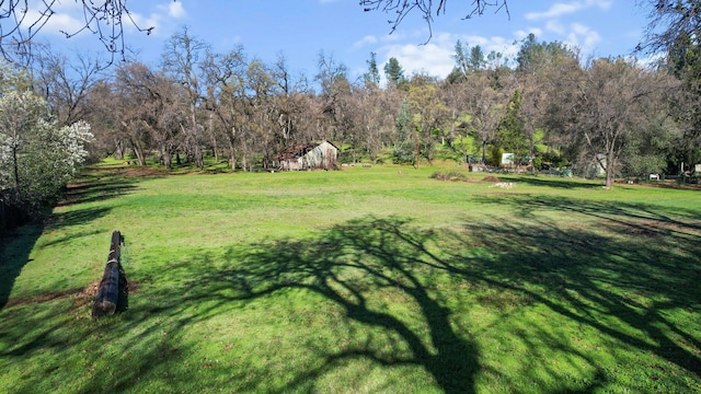 view of yard featuring a view of trees