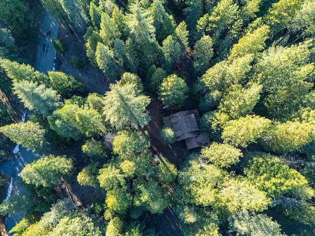 birds eye view of property with a forest view