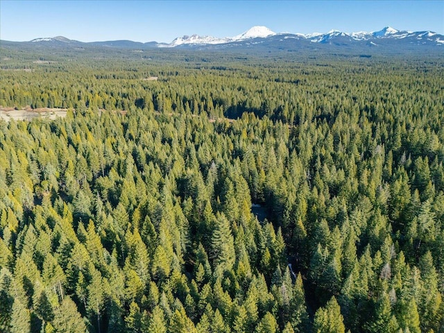 bird's eye view with a forest view and a mountain view